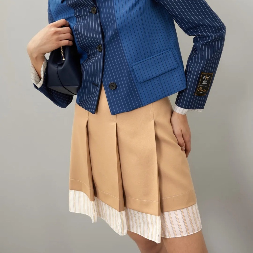 Marni Pleated Skirt